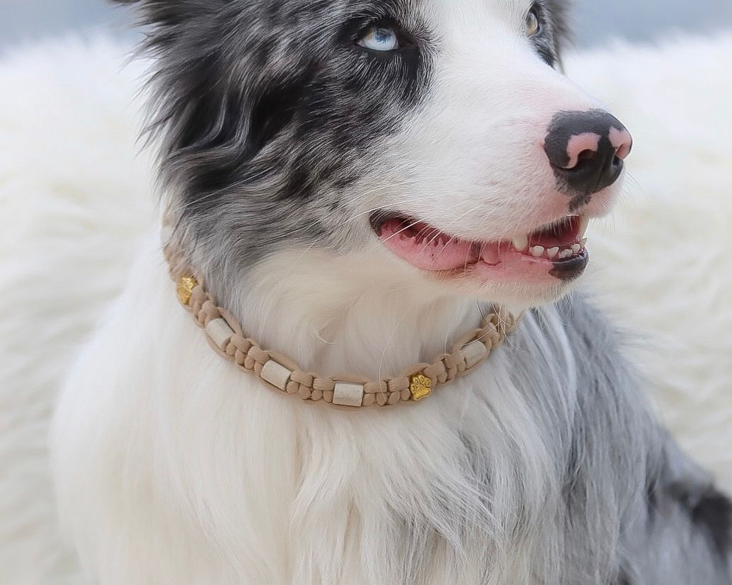 Keramik Hundehalsband fr Natrlicher Zeckenschutz