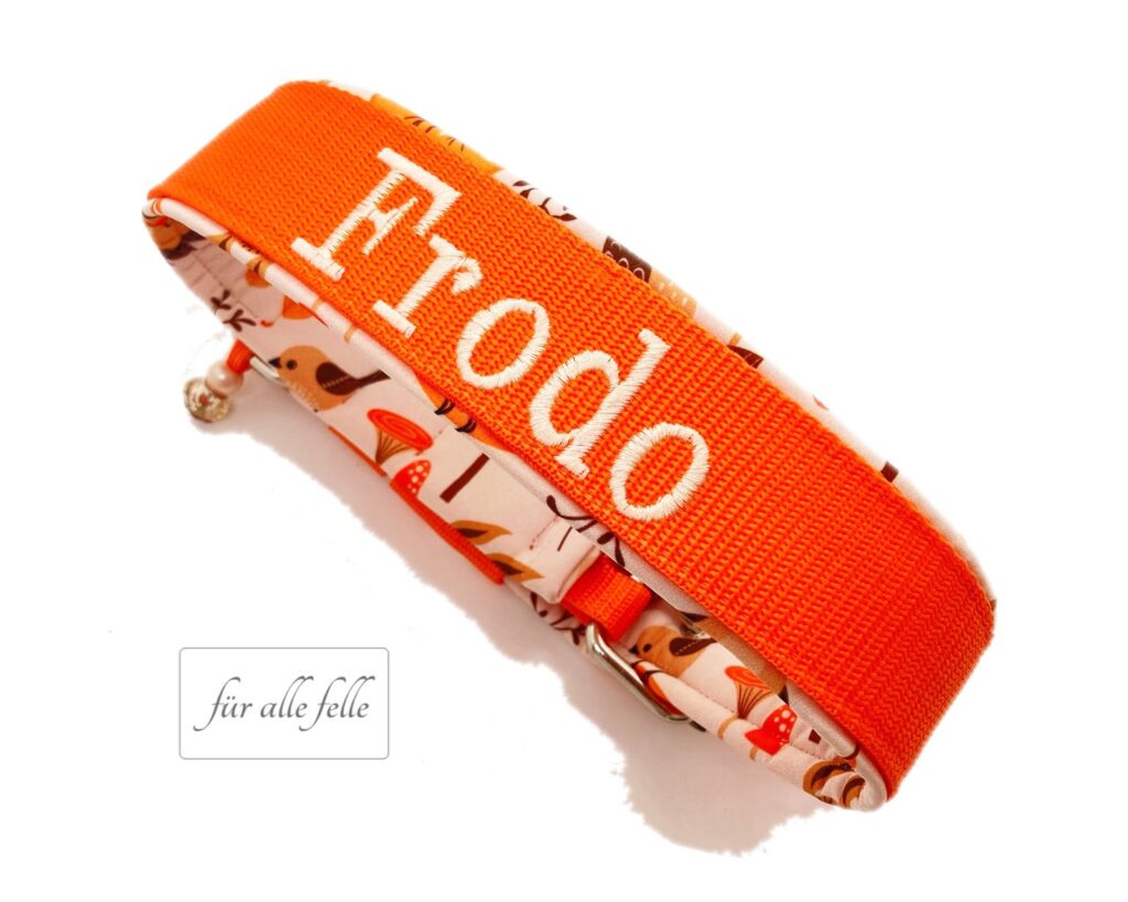 Hundehalsband mit Namen 'Frodo' in Herbstorange Softshell, handgefertigt von 'Für alle Felle', perfekt für die saisonale Garderobe Ihres treuen Begleiters.