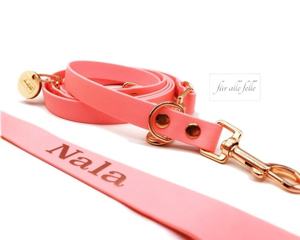 BioThane Halsband & Leine Für Hunde – Wasser Produktbild-Vorschau 3