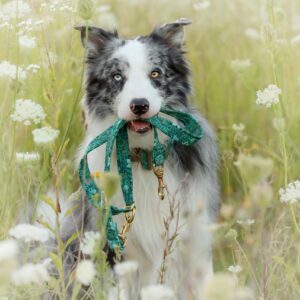 Softshellleine im Stoff 'Verdrigis Flowers'