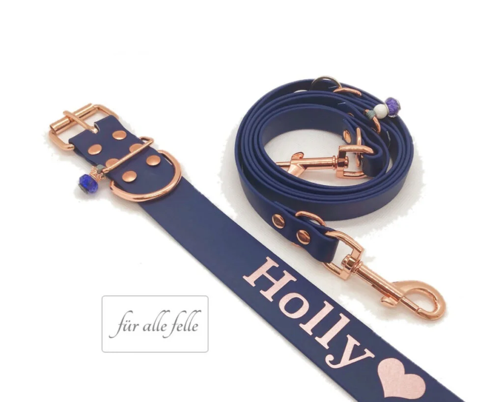 Personalisiertes Hundehalsband Mit Namensgravur – Floral, Für Kleine/mittelgroße Hunde (Größe S, Halsumfang 25–40 Cm)
