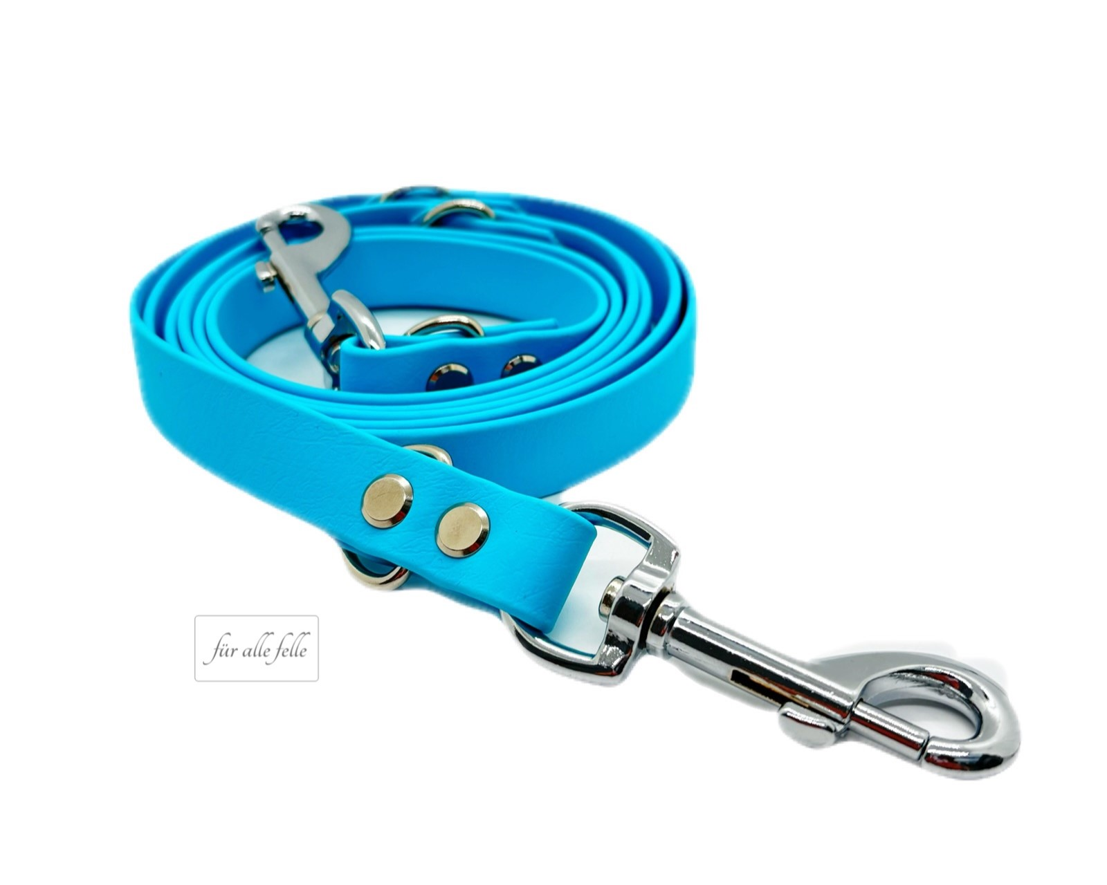 Biothane hellblau Hundeleine mit silber Karabina