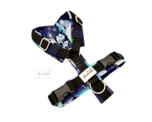 Ein stilvolles gepostetes Hundegeschirr für kleine Hunde von dem Online-Shop fuerallefelle.net. Das Geschirr ist in blauen und grünen Farben gestaltet und mit robusten schwarzen Gurten und Verschlüssen ausgestattet.