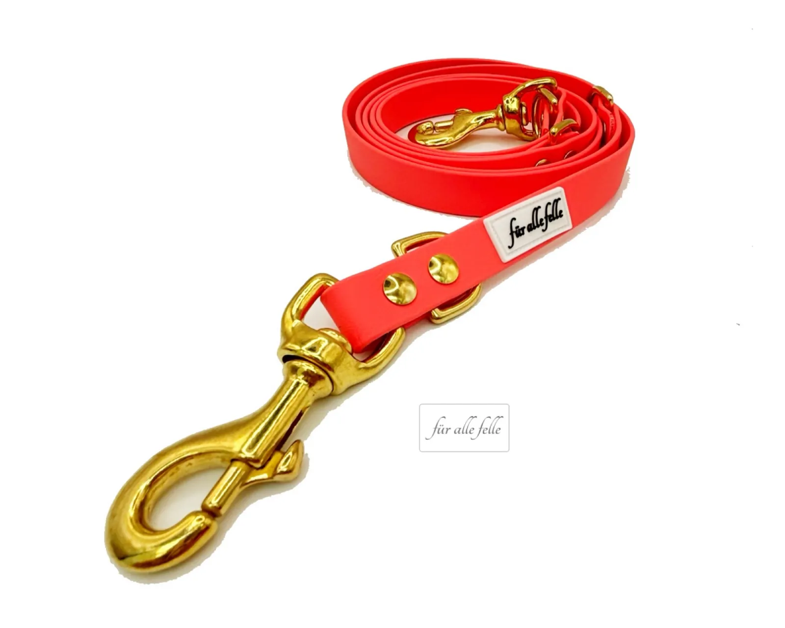 Hundeleine aus Biothane Korall und massiv messing fuer alle felle
