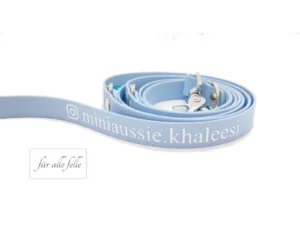 Personalisiertes Hundeleine in Biothane Pastellblau mit Wunschtext