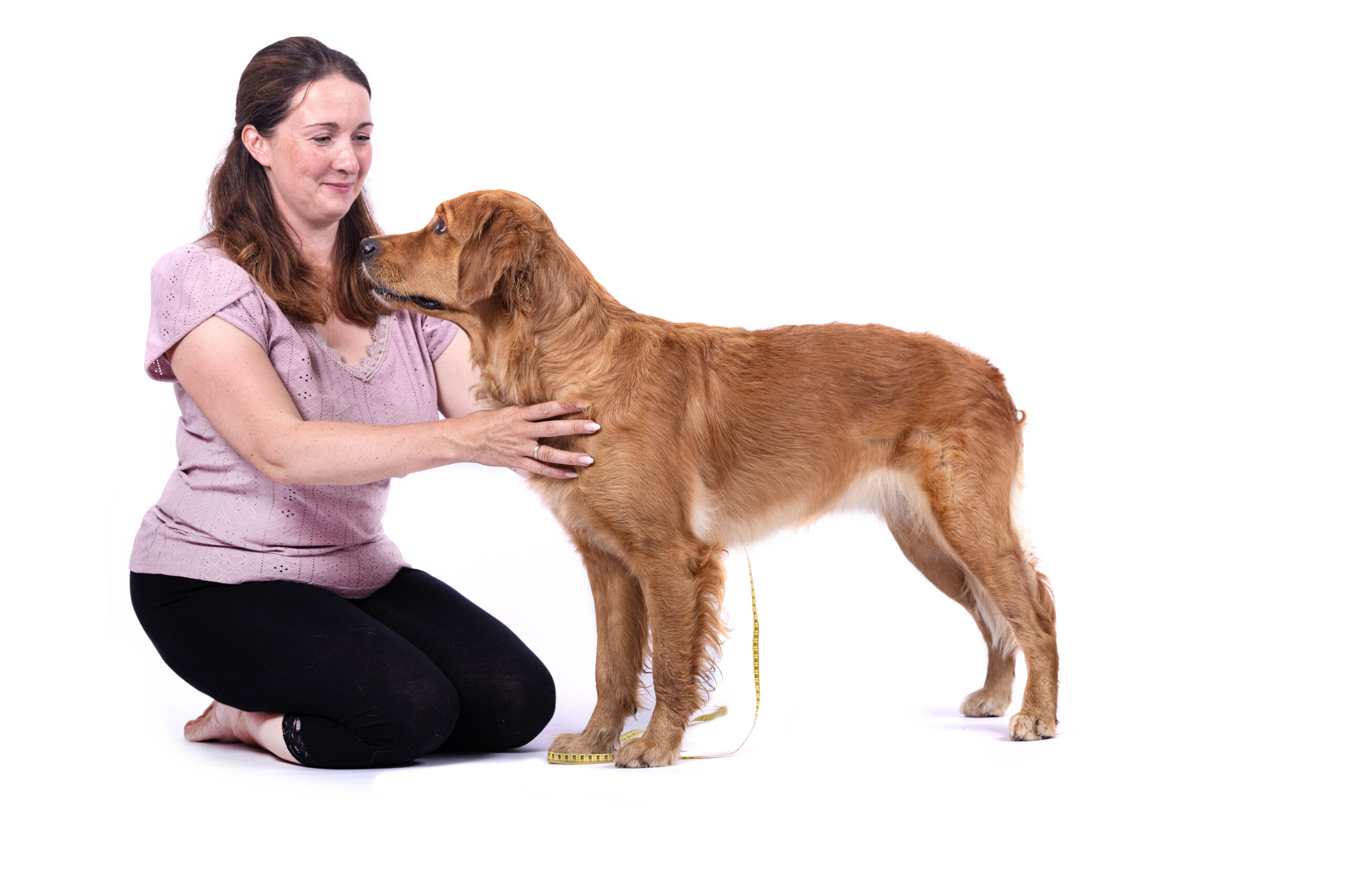 Maßanleitung für Halsbänder - Exakte Passform für Deinen Hund 1 Messanleitung 19 Bearbeitet scaled